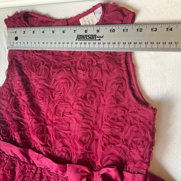 CRB Youth Girl Rose Dress size 16 Deep Pink Sleeveless Knee Length Princess - Picture 2 of 11